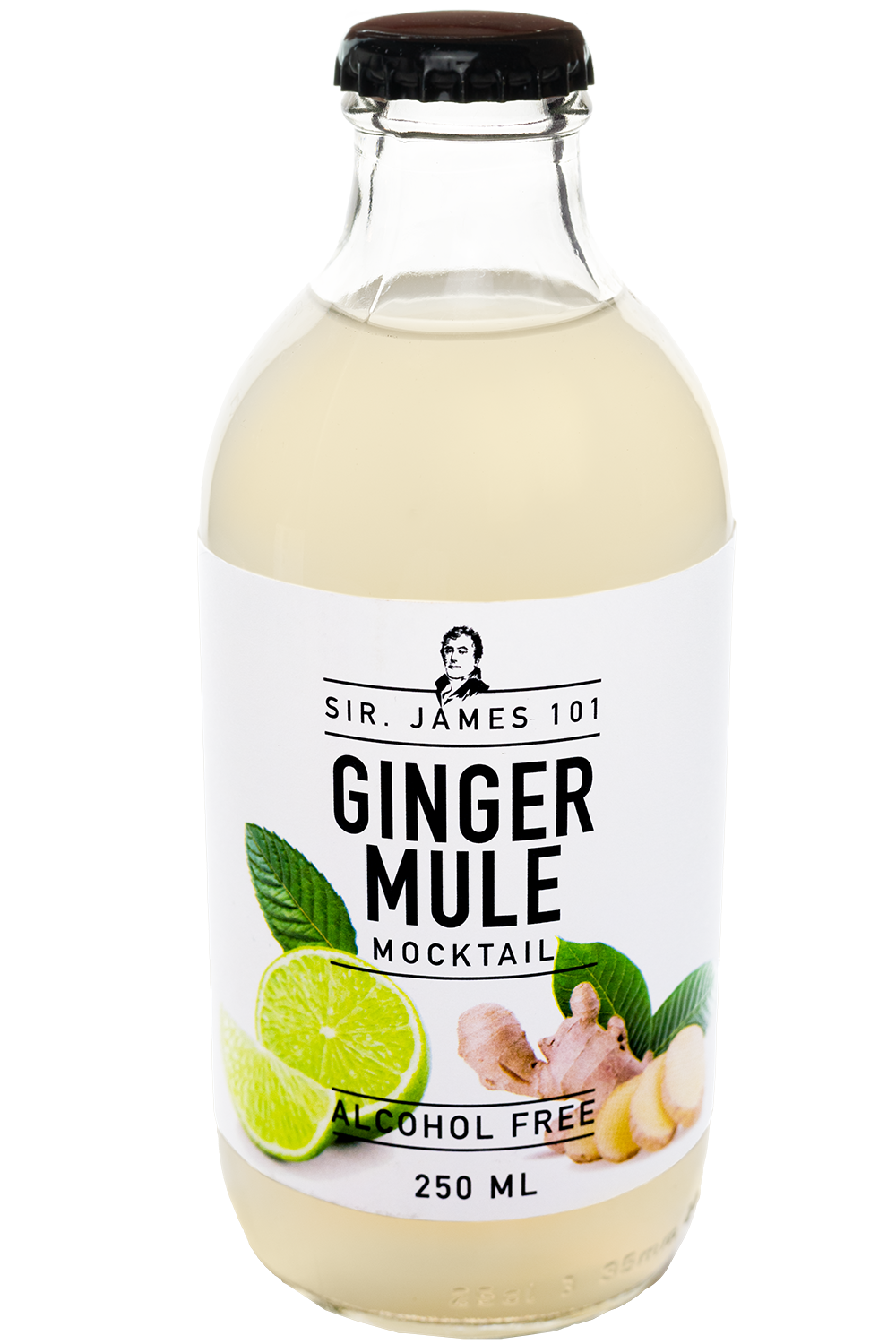 Sir. James 101 Ginger Mule